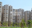 Stellar Jeevan