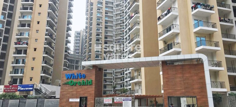 Town Park White Orchid Entrance View