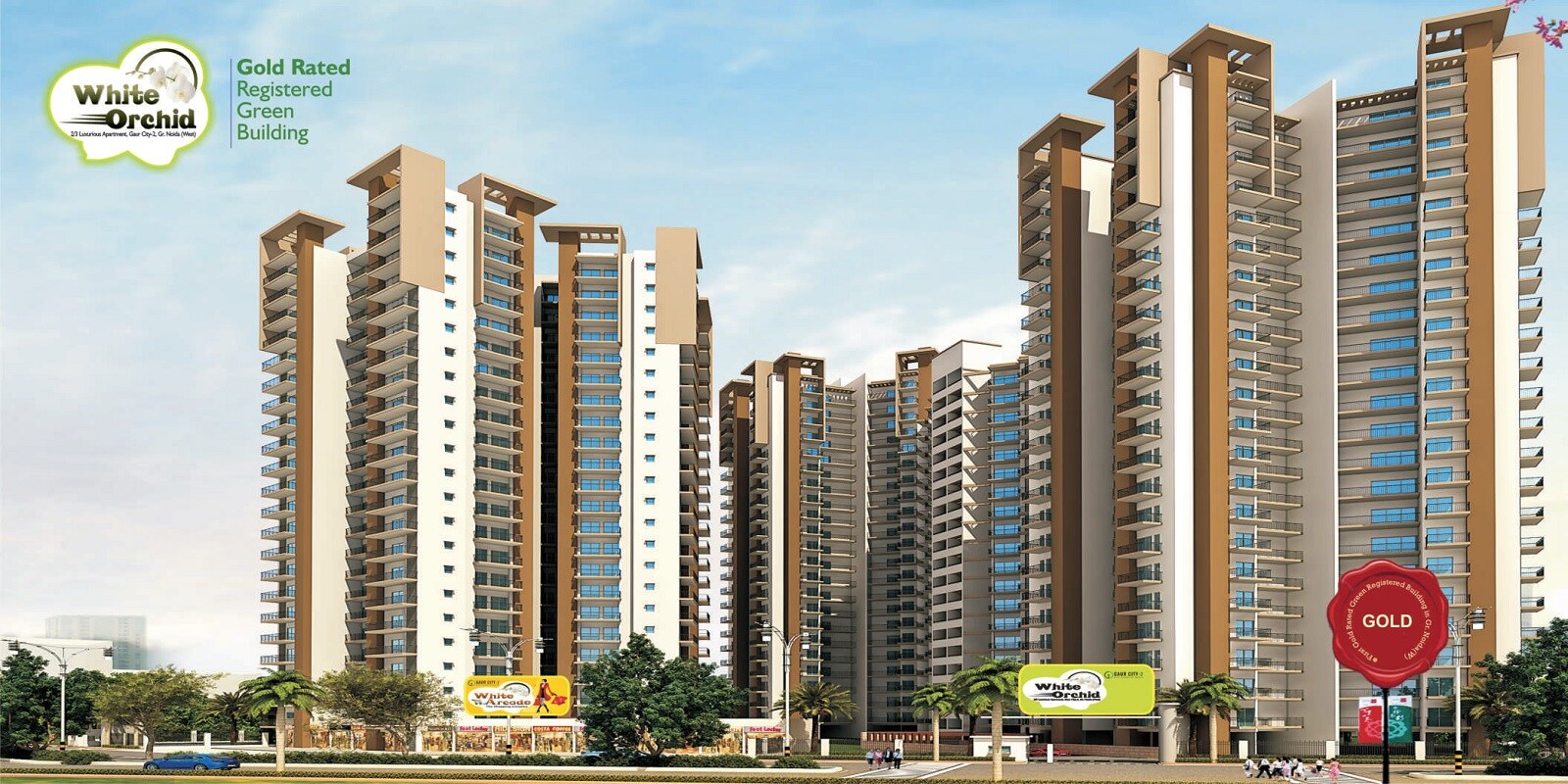 Town Park White Orchid