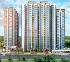 ABA Coco County Video