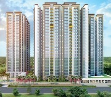 ABA Coco County Featured Image