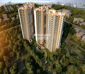 ABCZ Rhythm Country, Sector 1 Greater Noida, Greater Noida