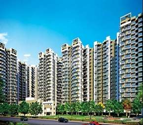 Amrapali Terrace Homes Cover Image
