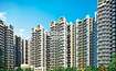 Amrapali Terrace Homes Cover Image