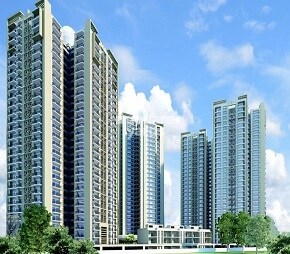 Apex Golf Avenue