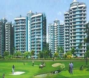 Apex Golf Avenue Sports City