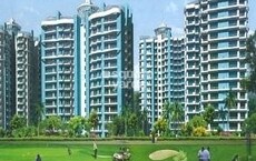 Apex Golf Avenue Sports City Featured Image