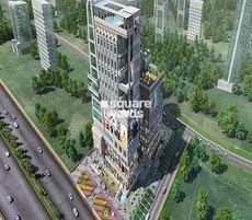 Apex Park Square Featured Image