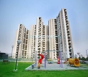 Assotech Springfields
