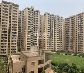 AVJ Platinum, GN Sector Zeta I, Greater Noida