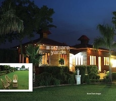 DPL Nature Retreat Featured Image