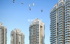 Gaur City 7th Avenue Featured Image