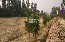 Golden Wave Visavi Residency Featured Image