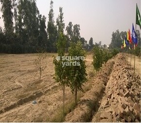 Golden Wave Visavi Residency
