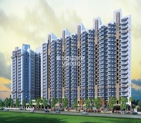 Gulshan Bellina Video