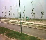 Jaypee Green Country Homes Video