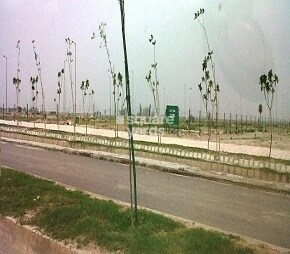 Jaypee Green Country Homes