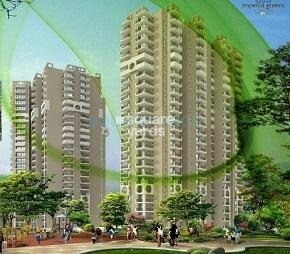 Kumar Imperial Greens