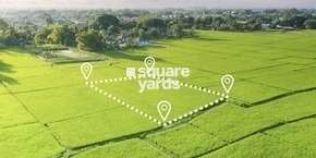 T3S Lavish Greens in Dhoom Manikpur, Greater Noida