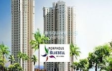 Morpheus Blue Bell Featured Image