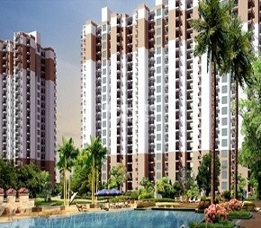 Nirala Greenshire