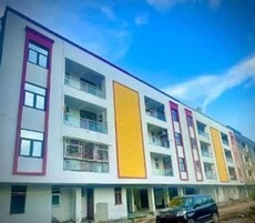 Palm Pristine Greens Featured Image