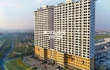 Paramount Oak Featured Image