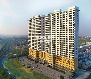Paramount Oak