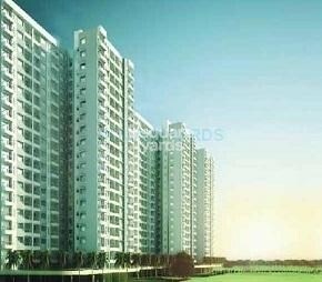 Rajput New Rajneegandha Greens