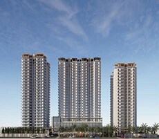 Renowned Renox Thrive Featured Image