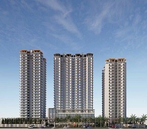 Renowned Renox Thrive