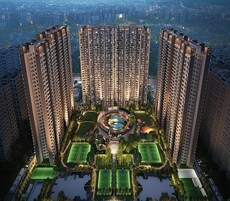 Sam Palm Olympia Phase III Featured Image