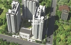 Sikka Kanak Greens Featured Image