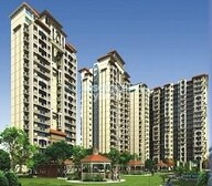 tn skyline speedway avenue project flagship1