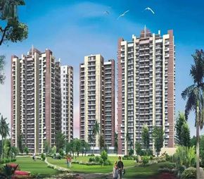 Skytech Colour Avenue