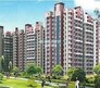 Skytech Colour Avenue Flagship Image