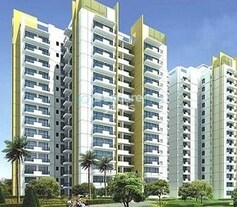 Soho Mascot Misty Heights, Tech Zone 4 Greater Noida, Greater Noida
