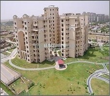 Stellar Icon Featured Image