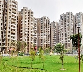 Stellar Jeevan