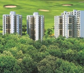 Supertech Golf Country Village