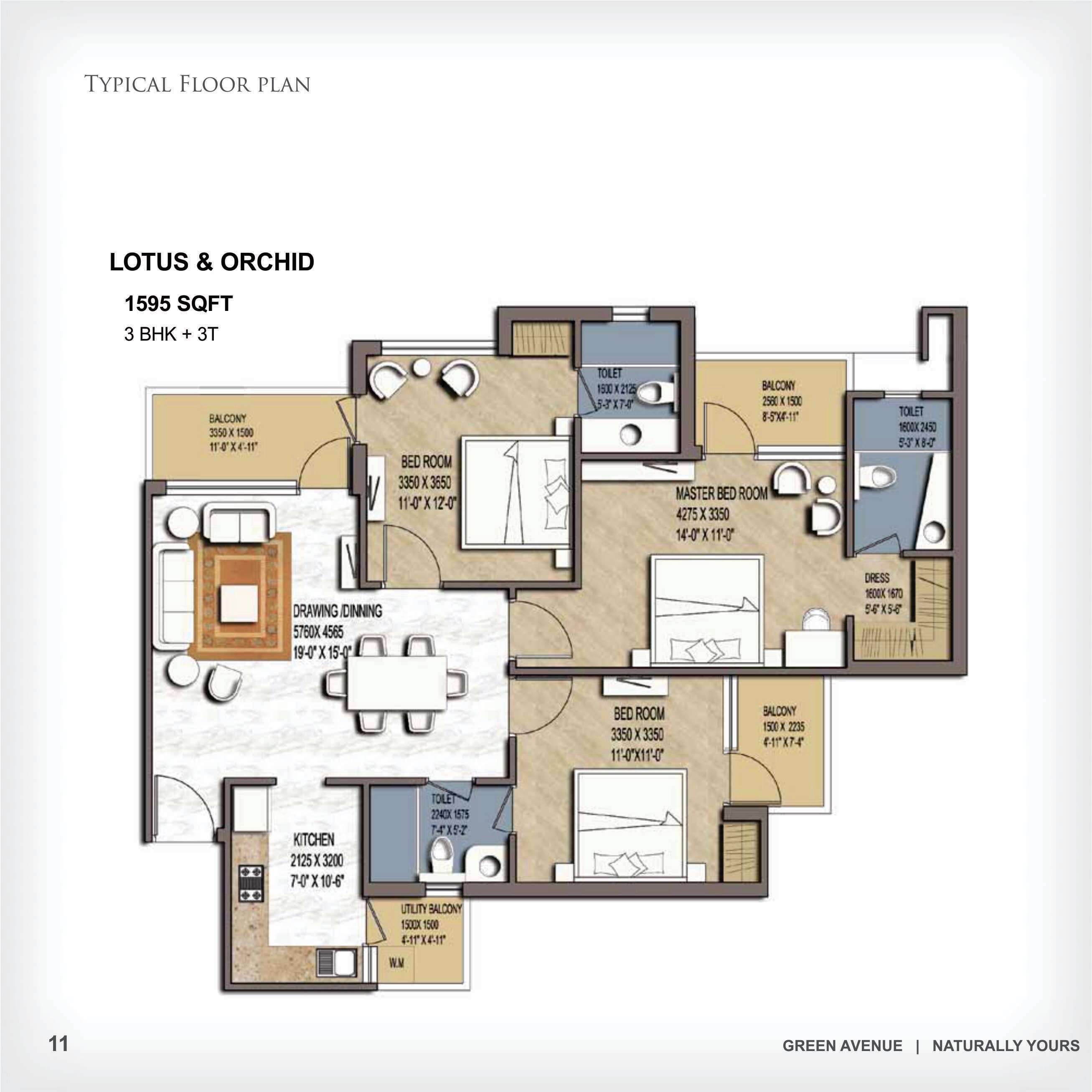 Floor plan of 3 BHK 1595 Sq. Ft. Apartment in Airwil Green Avenue, Greater Noida