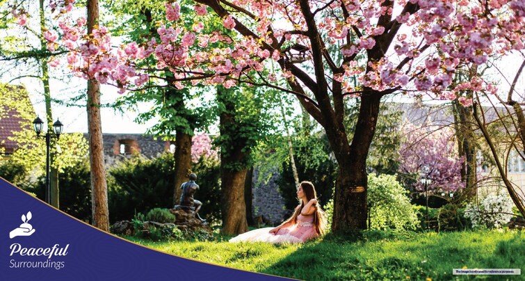 3B Estate 95 Amenities-Features 10