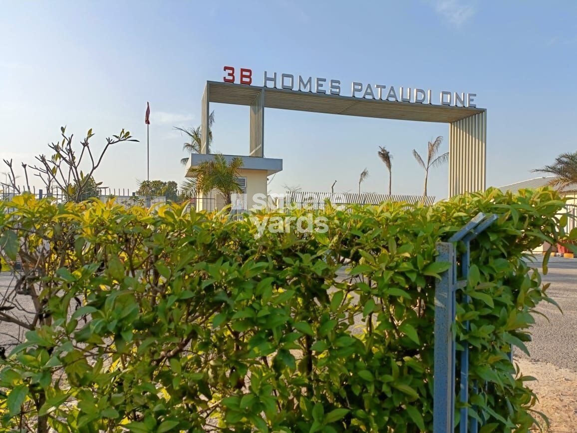 3B Homes Pataudi One Amenities-Features 3
