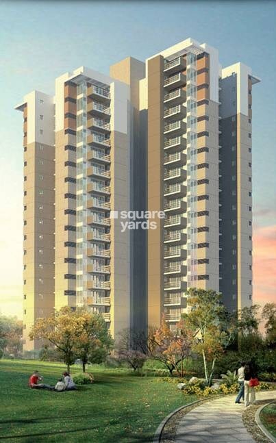 3C Orris Greenopolis