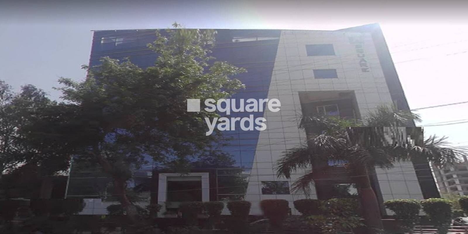 A Square
