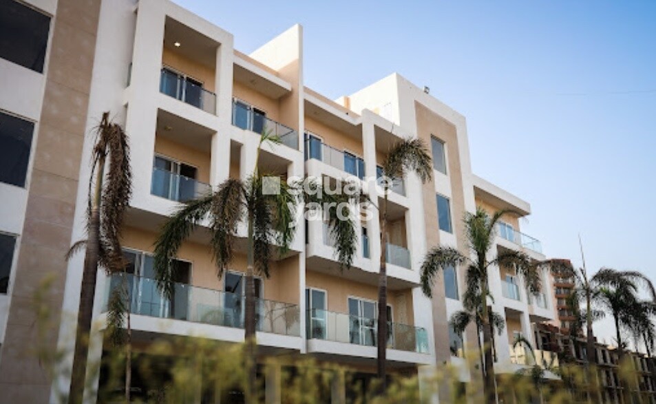 Ace Palm Floors Tower View