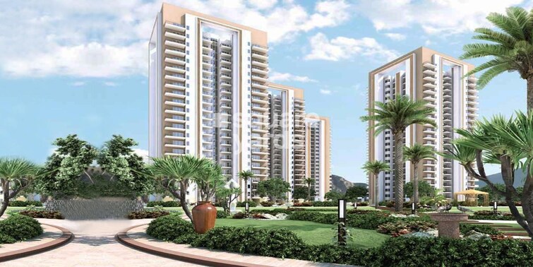 Adani M2K Oyster Grande Greens Image