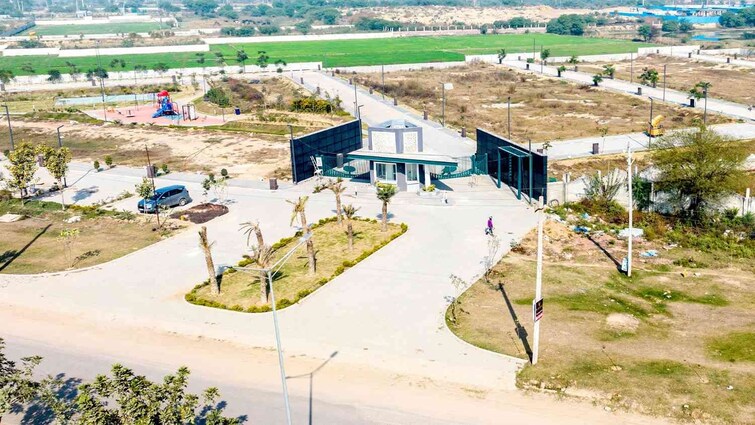 Adani Oyster Greens Plot Images 1