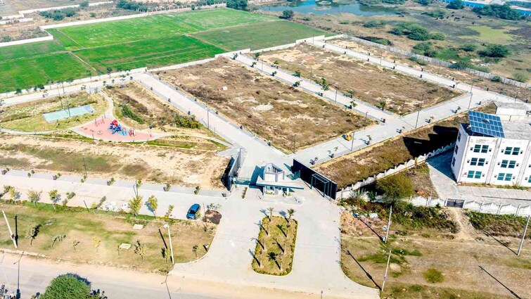 Adani Oyster Greens Plot Images 2