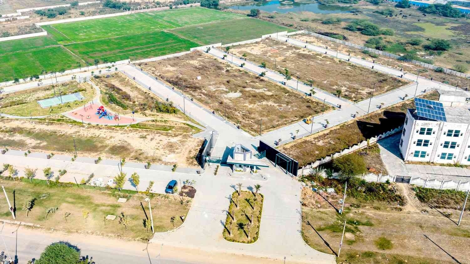 Adani Oyster Greens Plot Images 2